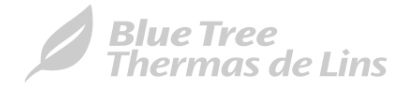 Blue Tree Thermas de Lins
